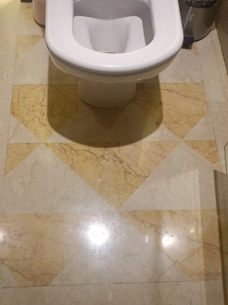 白鹭湖管理区瓷砖修缮